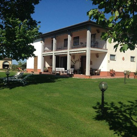 Il Grano Di Bramante Villa Marrucheto Exteriör bild