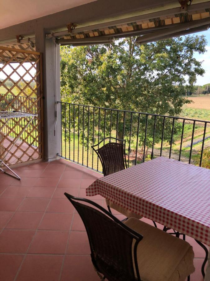 Il Grano Di Bramante Villa Marrucheto Exteriör bild